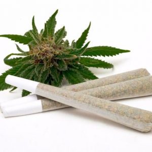 Buy Marijuana Pre Rolls Joints Online Europe