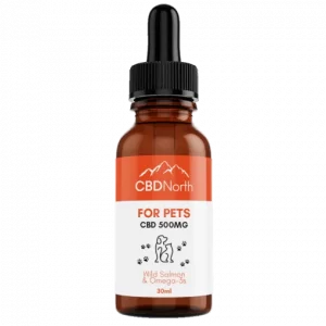 CBD Oil for Dogs (CBD For Pets)