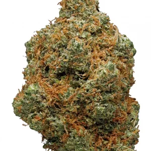 Jamaican Marijuana Strain
