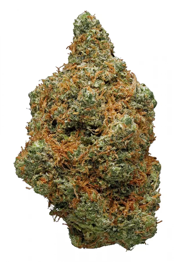 Jamaican Marijuana Strain